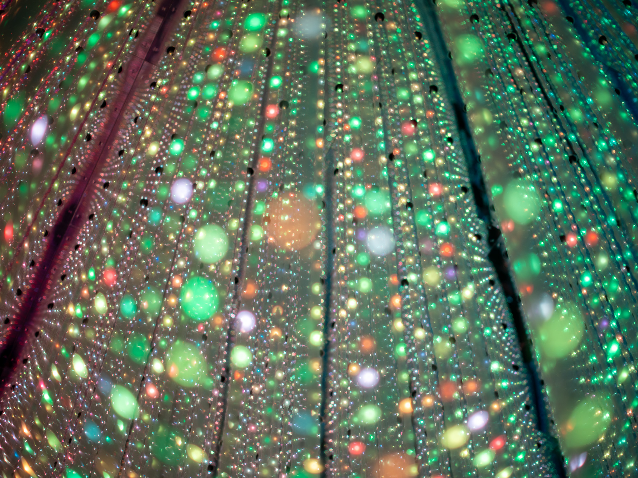 【ミラーレスカメラ×オールドレンズ】Nikon Ai-S Nikkor 50mm F1.2レビュー！ソニーαシリーズに合わせる癖強オールドレンズの魅力