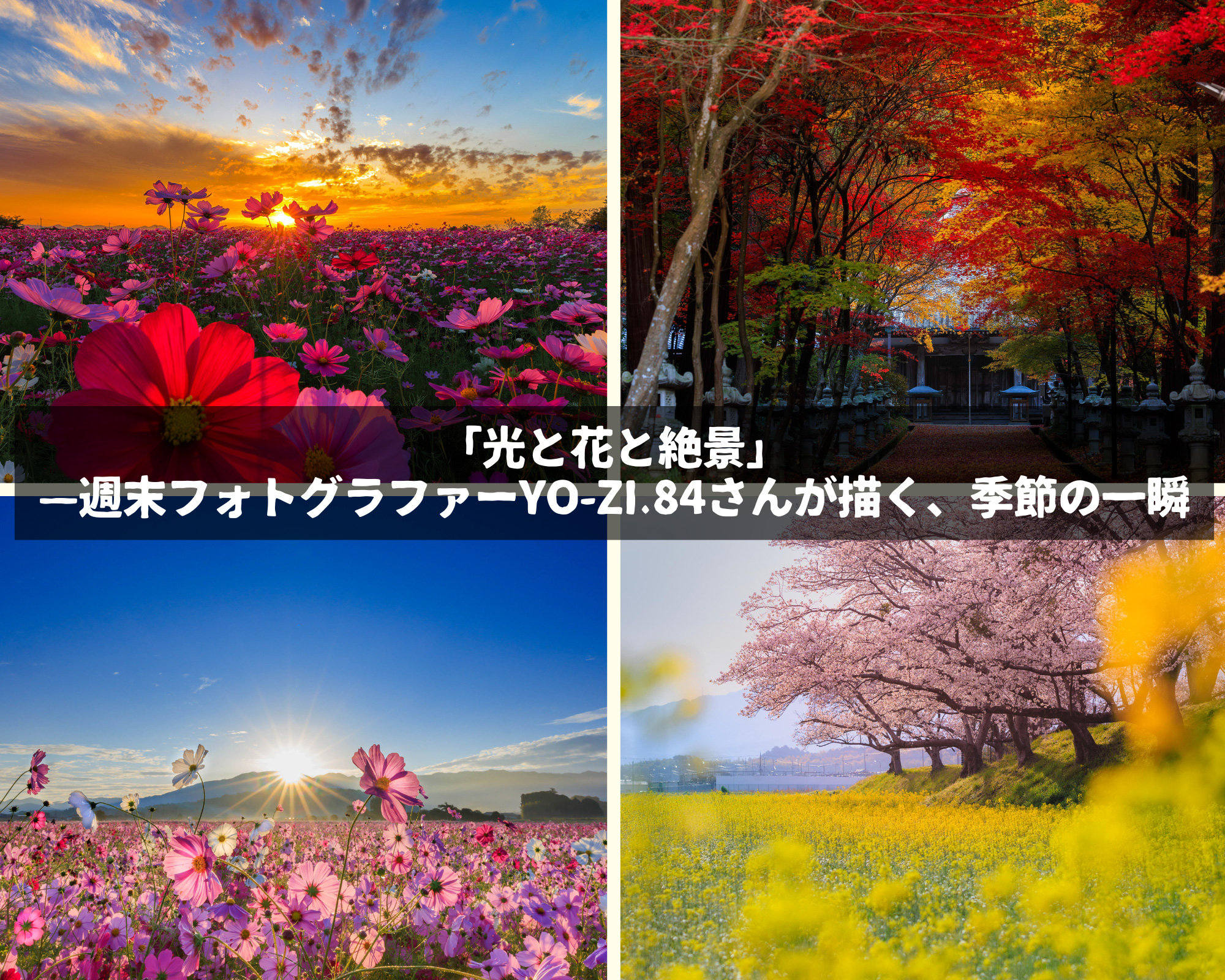 「光と花と絶景」——週末フォトグラファーYo-zi.84さんが描く、季節の一瞬 ＠Canon EOS R5 MarkⅡ