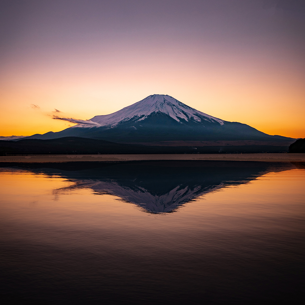 ユーザーの画像
