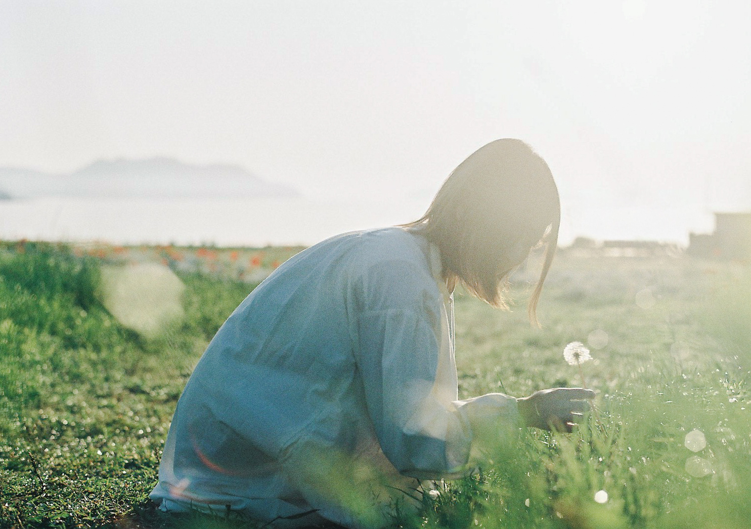 「光が描く、儚くあたたかな時間」— Ruiさんが語る、写真に宿るやさしい余韻