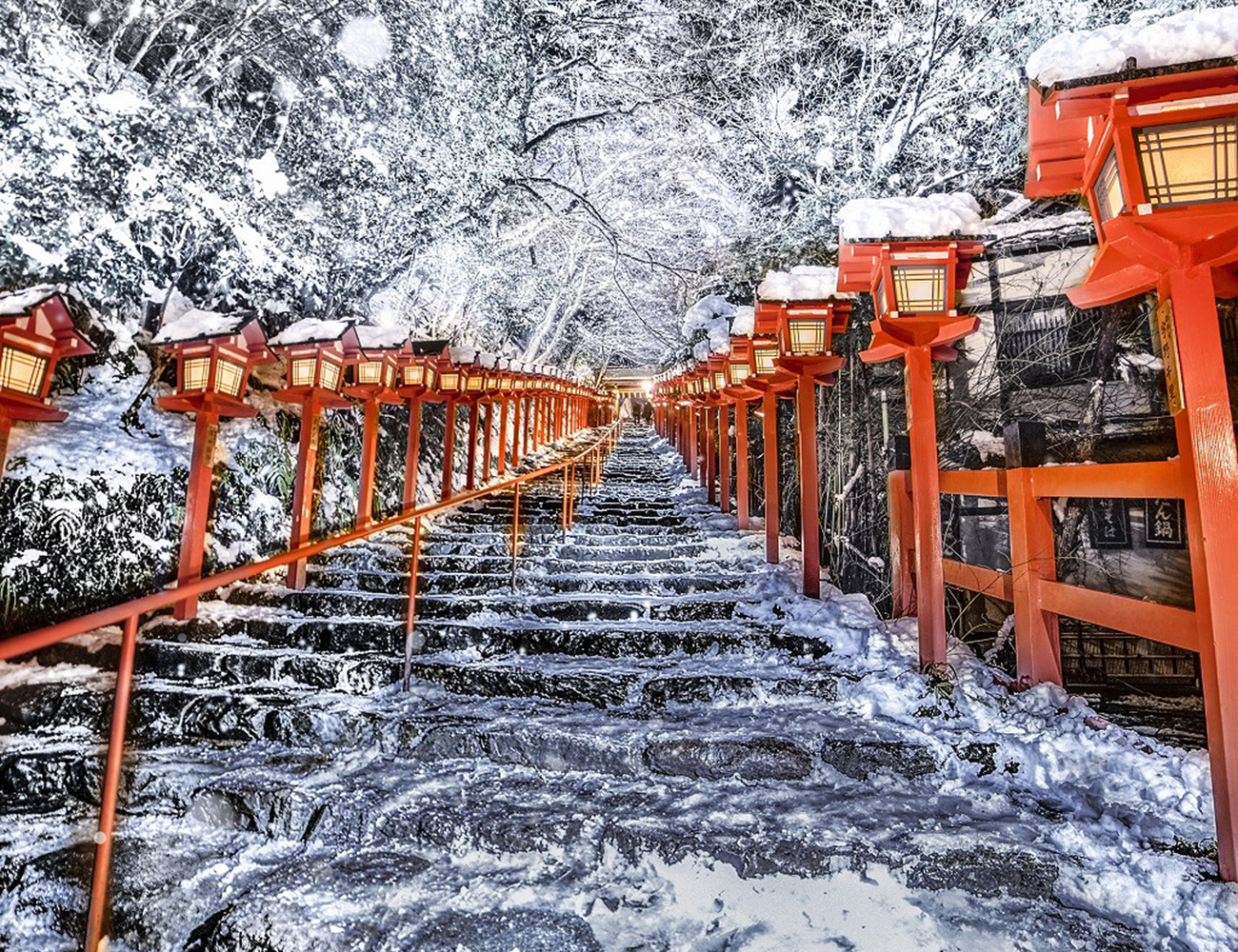 光と街を追いかけて—MJさんの写真に込める都市と自然の魅力