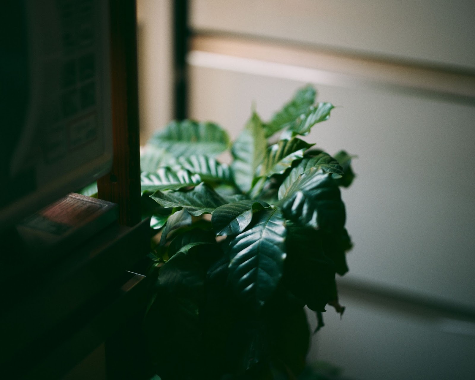 【早稲田大学写真部×アールイーカメラ】デカ重×デカ重でスナップ ZEISS Otus 1.4/55、Canon EOS-1D X Mark III  / とら