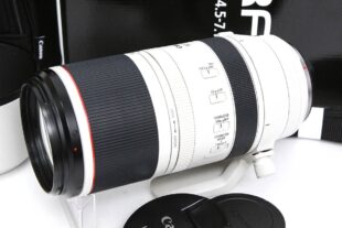 キヤノン RF100-500mm F4.5-7.1 L IS USM