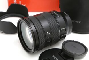 ソニー FE 24-105mm F4 G OSS / SEL24105G