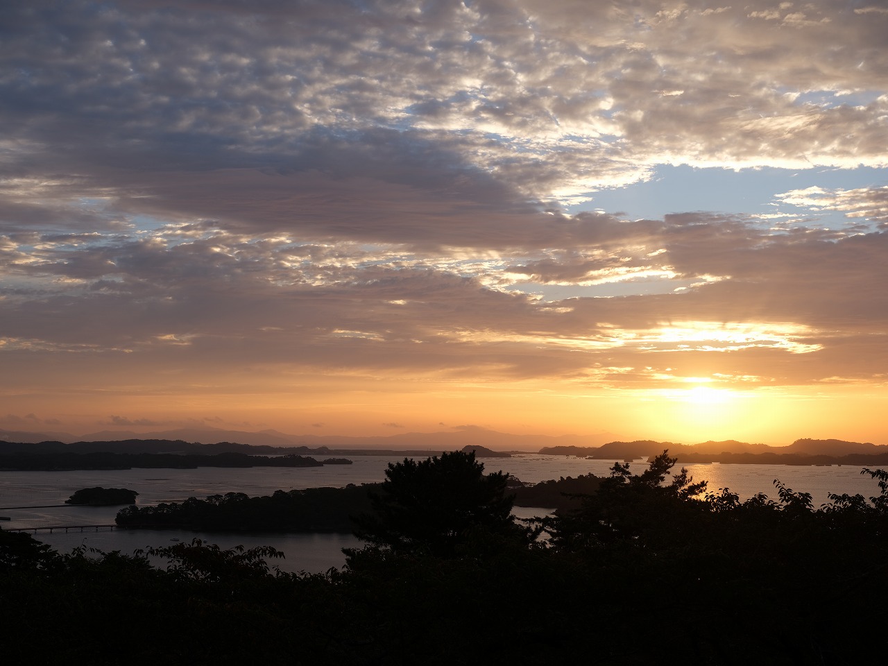 ユーザーの画像