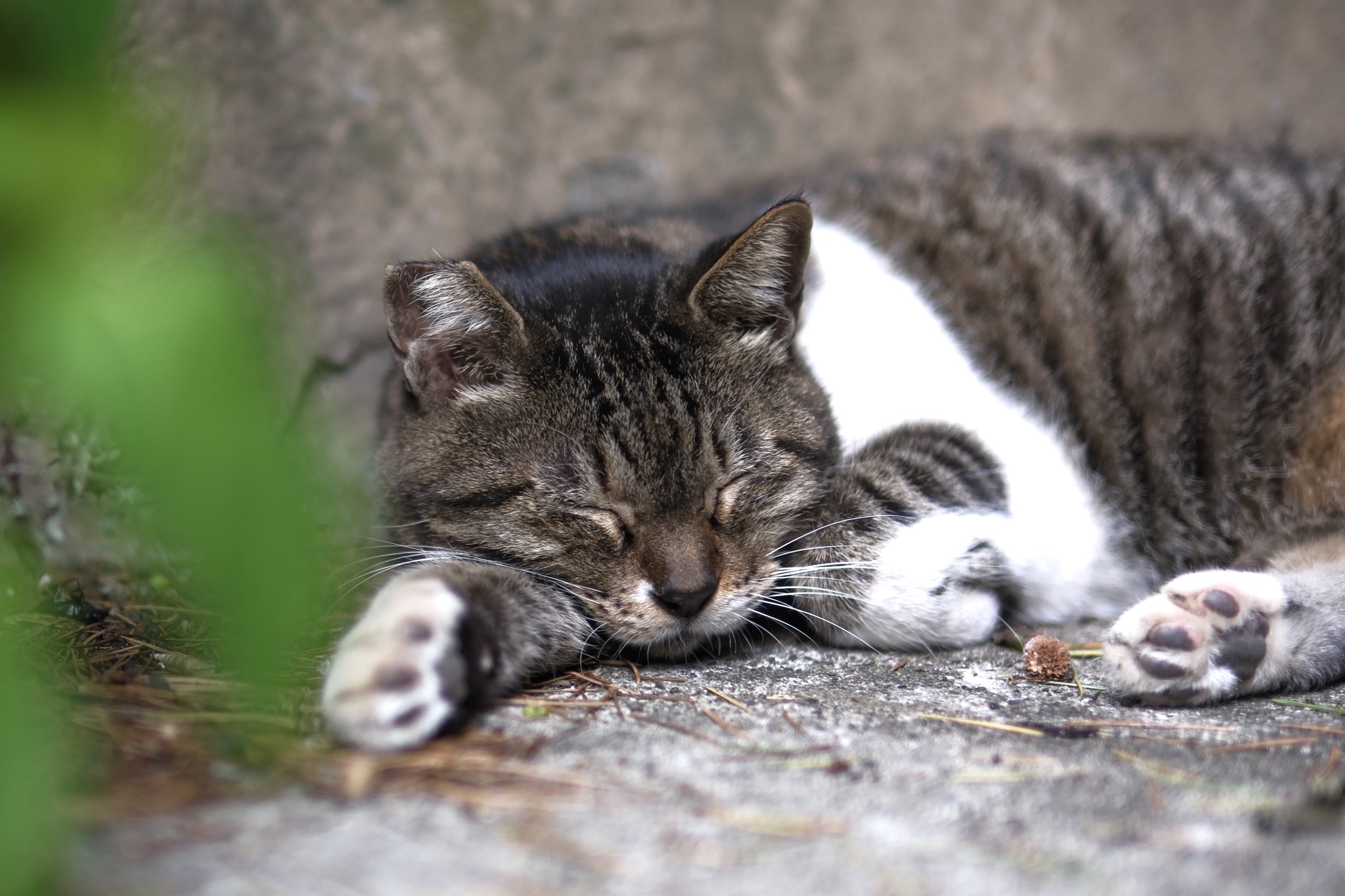 【横浜国立大学写真部×アールイーカメラ】描写性能全振りのロマンレンズ ‘THE ONE’ / 野口沙織