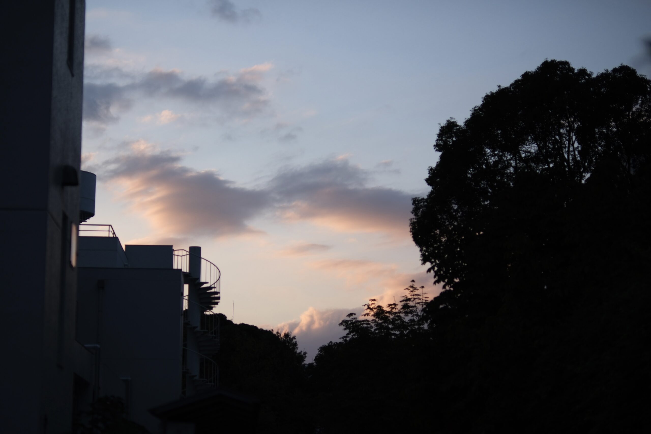 ユーザーの画像