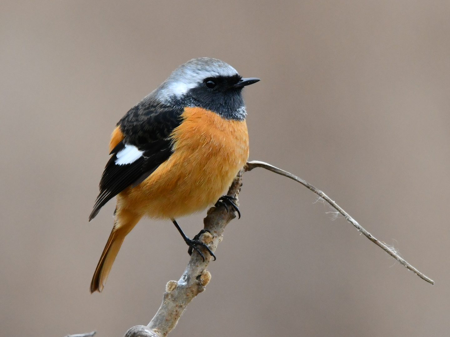 ユーザーの画像