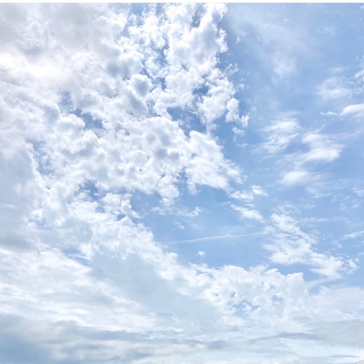 ユーザーの画像