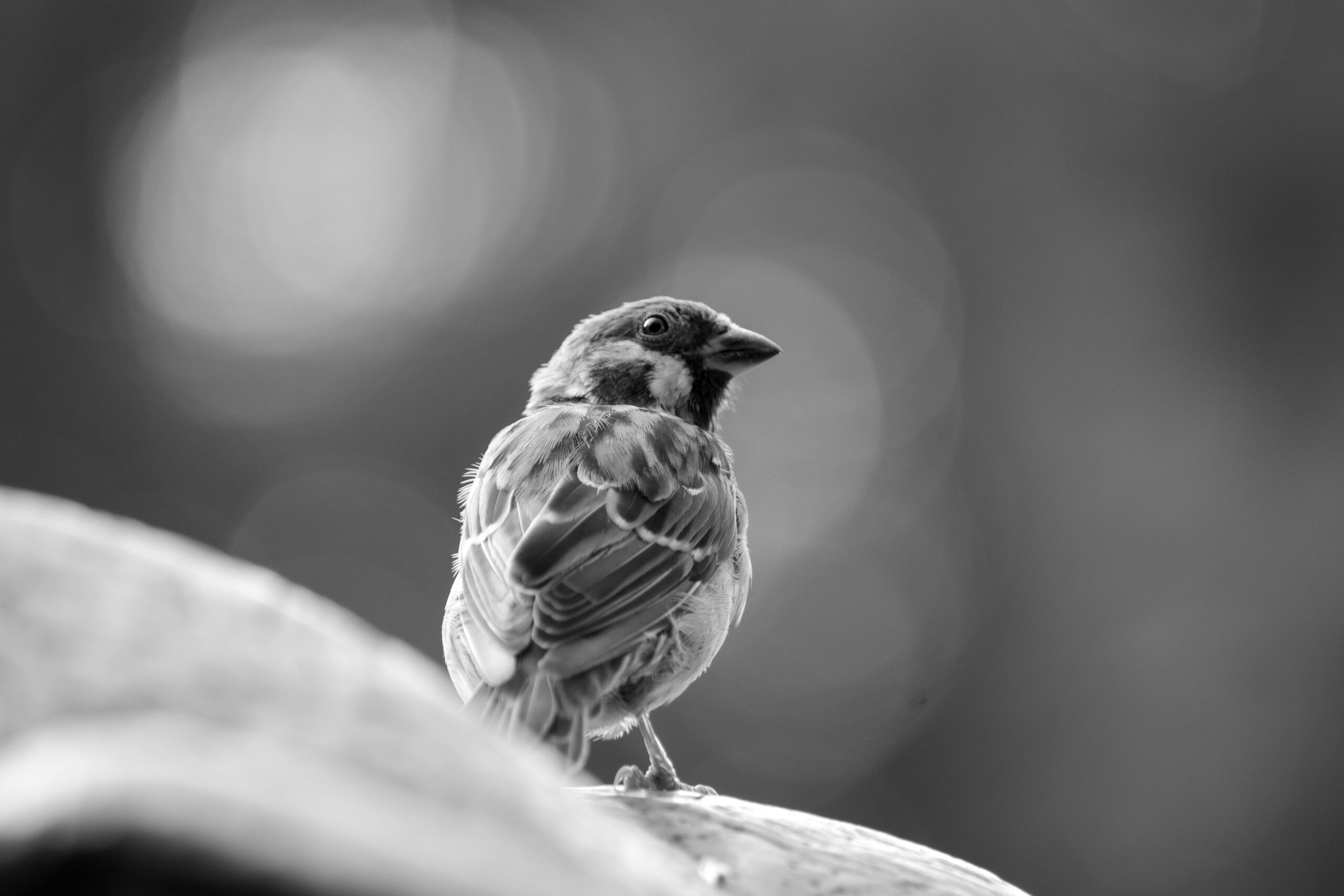 ユーザーの画像