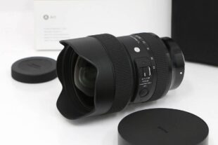 シグマ 14-24mm F2.8 DG DN Art 