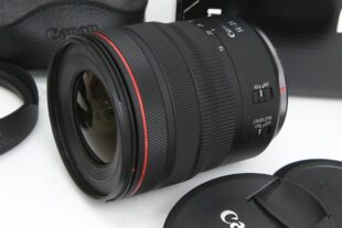 キヤノン RF14-35mm F4 L IS USM