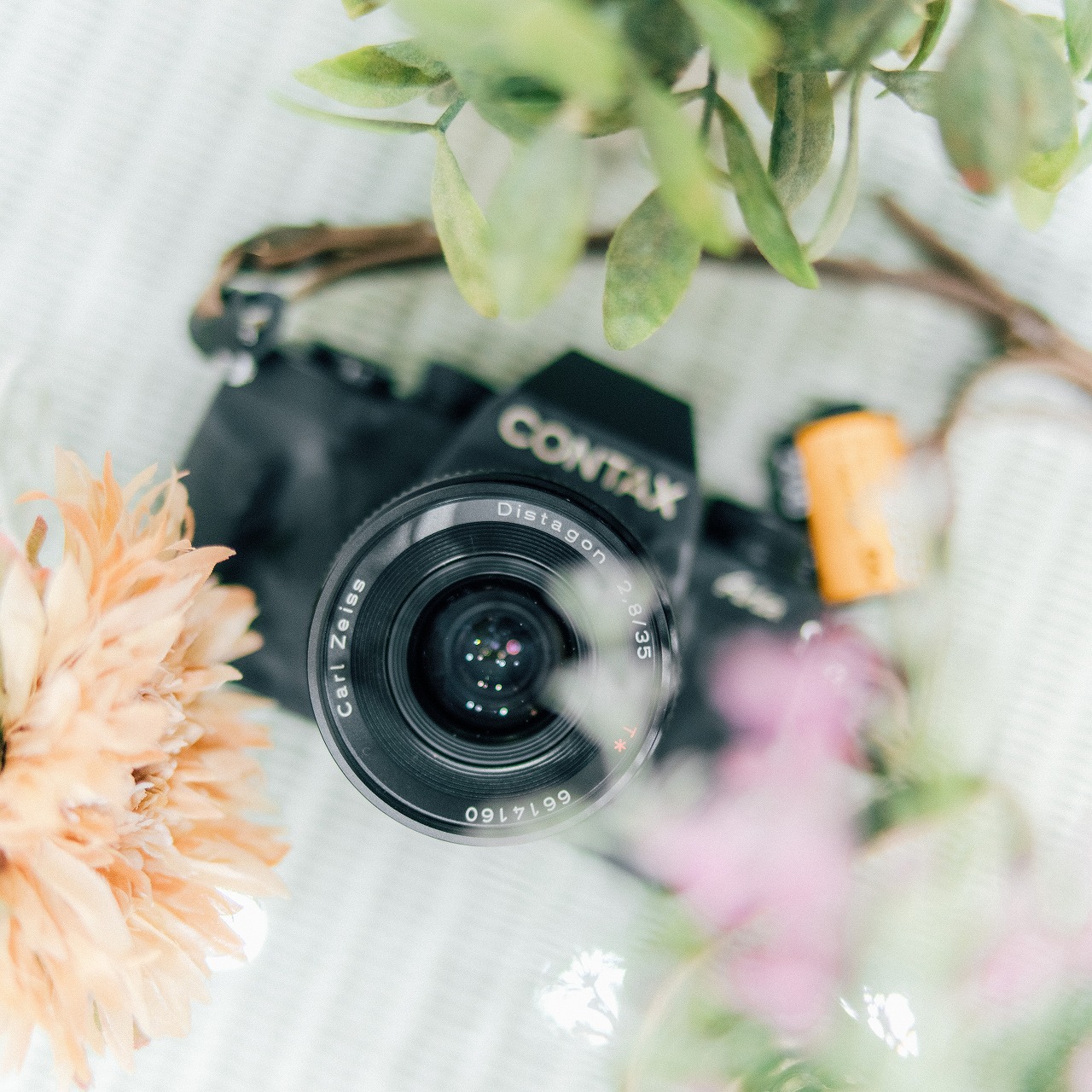 ユーザーの画像