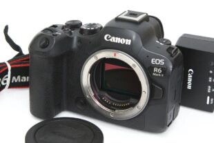 キヤノン EOS R6 Mark II ボディ