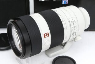 ソニー FE 100-400mm F4.5-5.6 GM OSS SEL100400GM