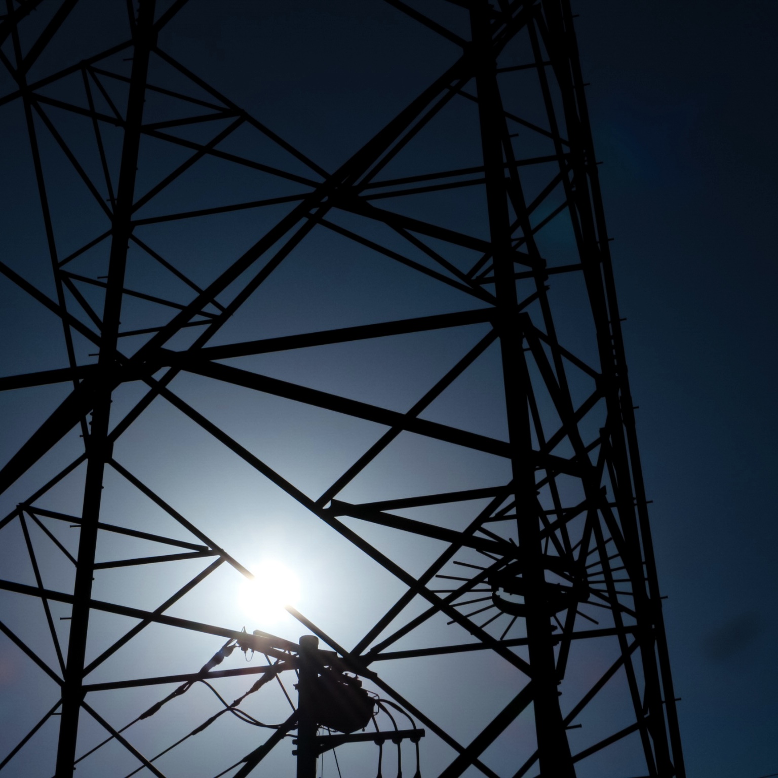 ユーザーの画像